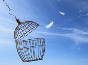 Empty birdcage against a clear, blue sky. Two white feathers float in the bird's wake.